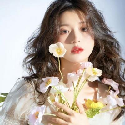 一条狗的回家路